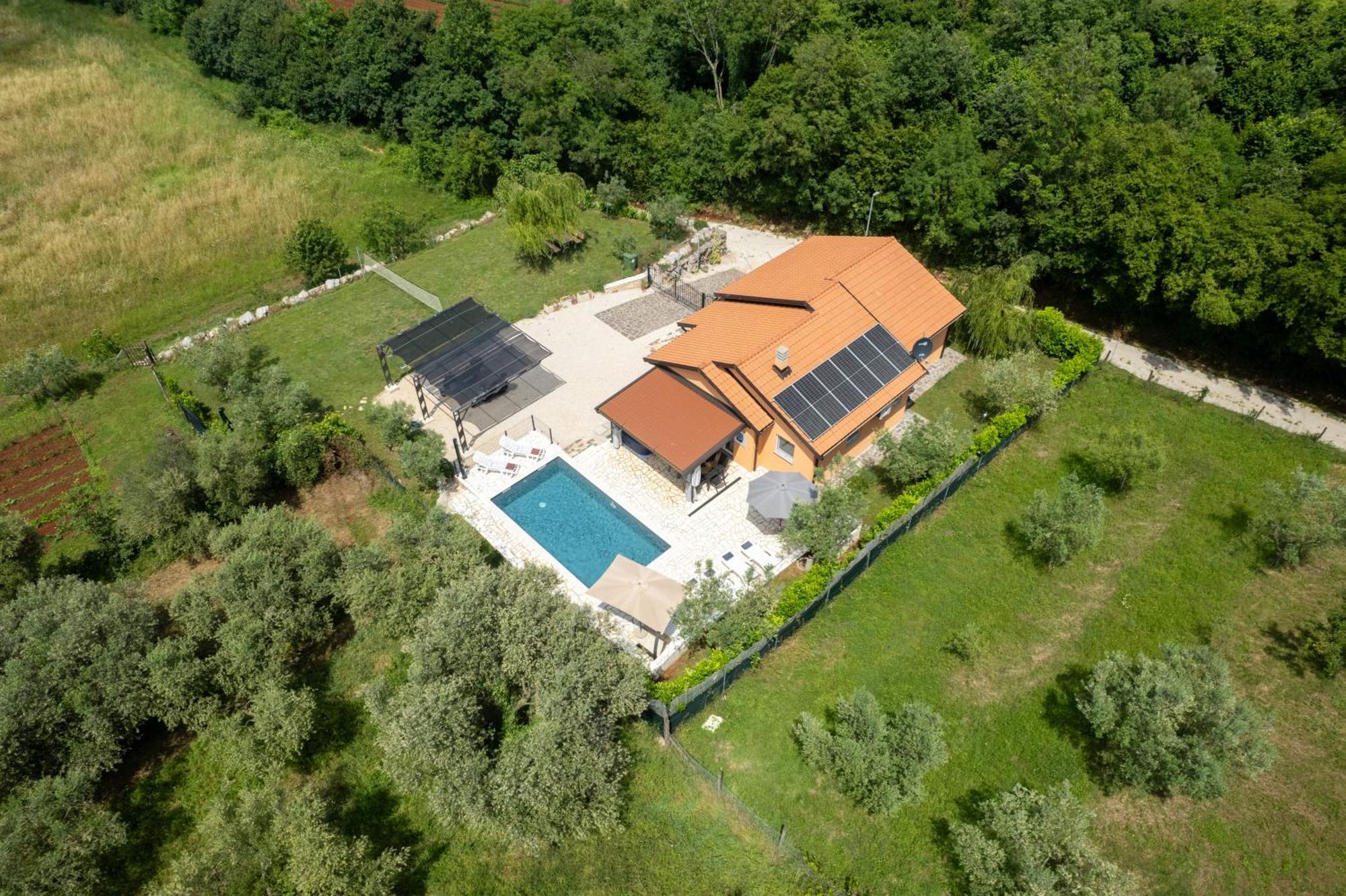 Villa Pendolina With Private Pool Buje Exterior foto