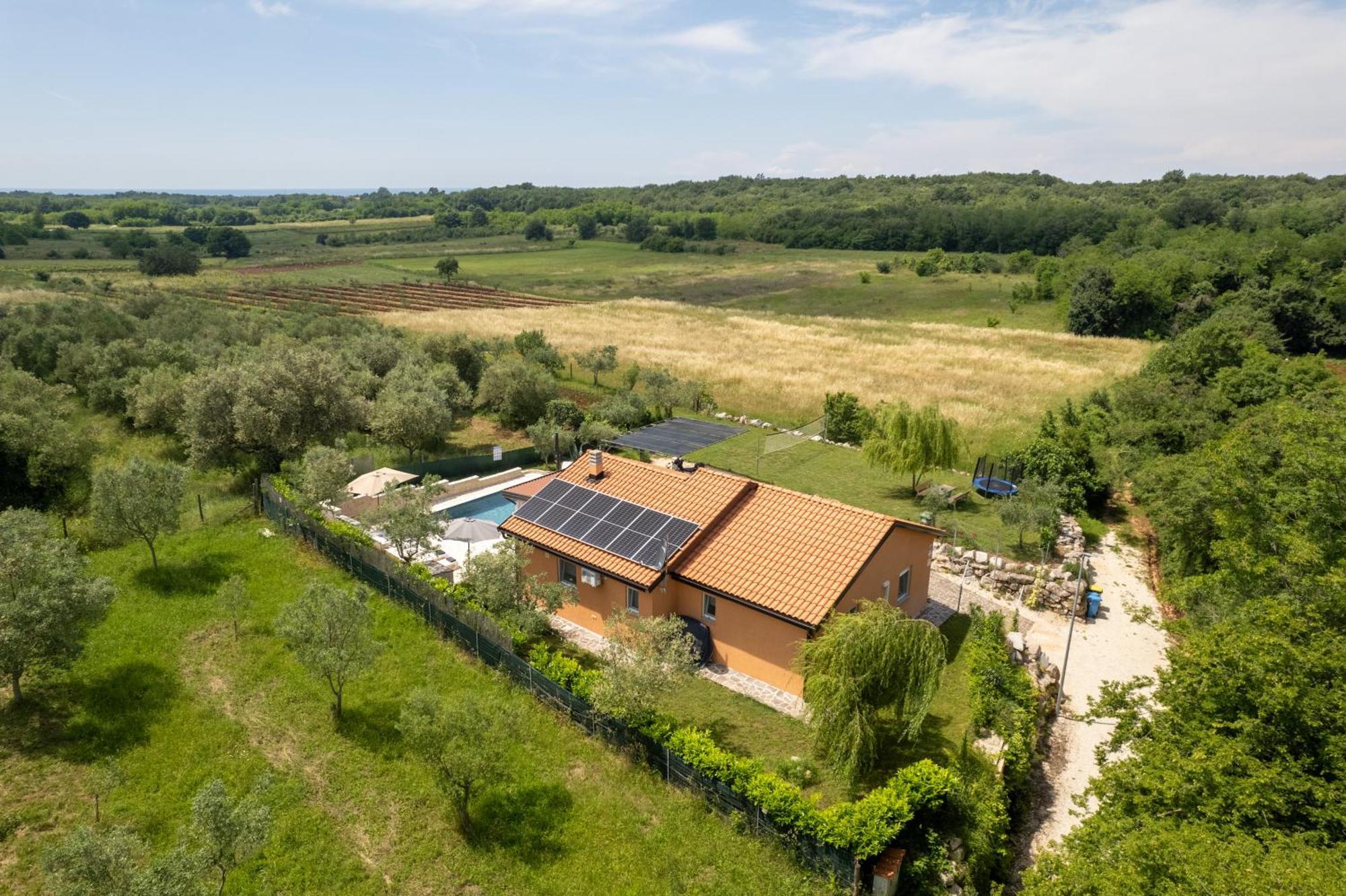 Villa Pendolina With Private Pool Buje Exterior foto