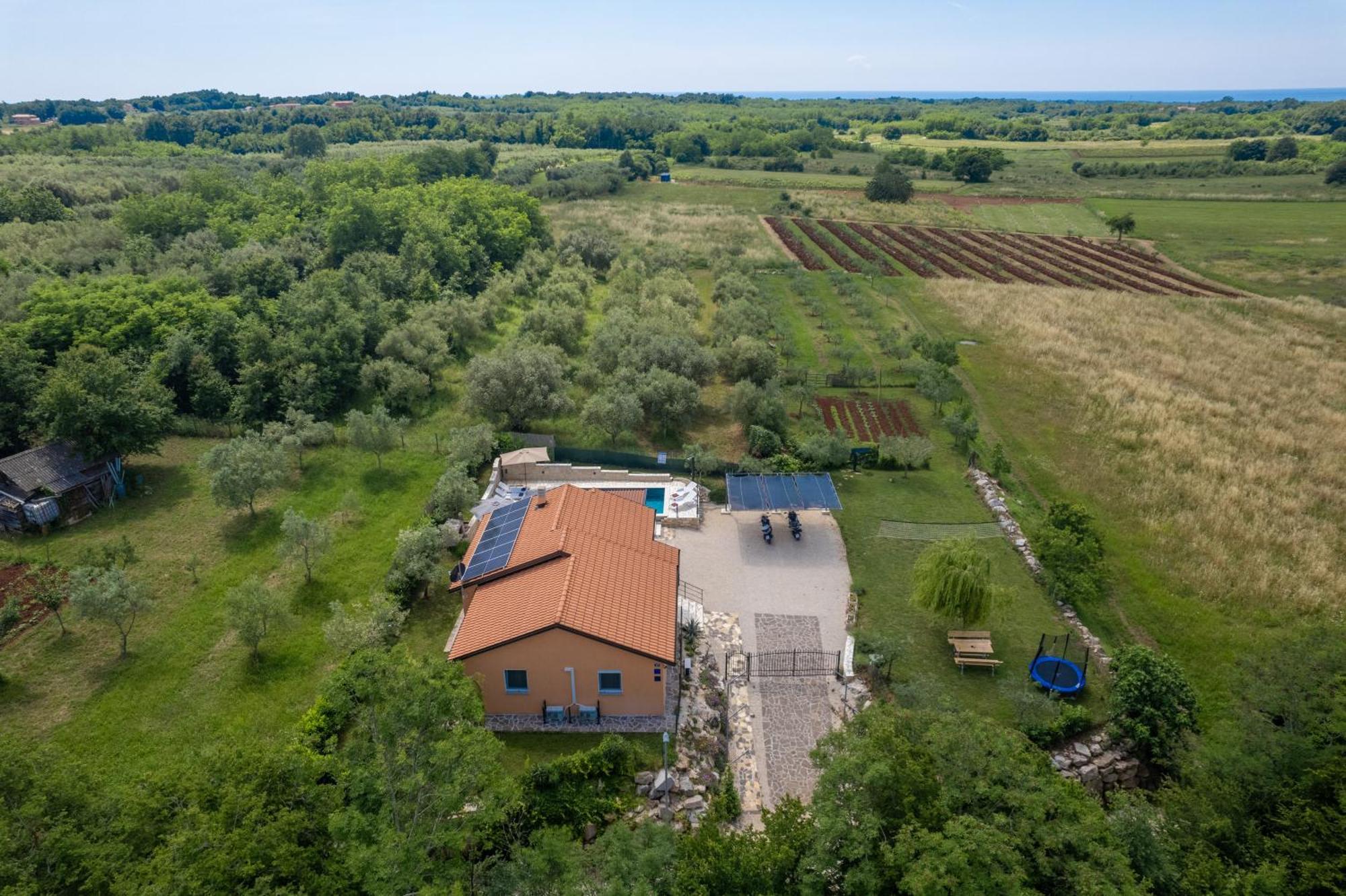 Villa Pendolina With Private Pool Buje Exterior foto